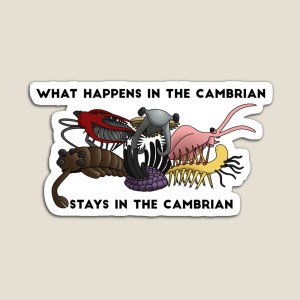 Stay in the Cambrian Sticker