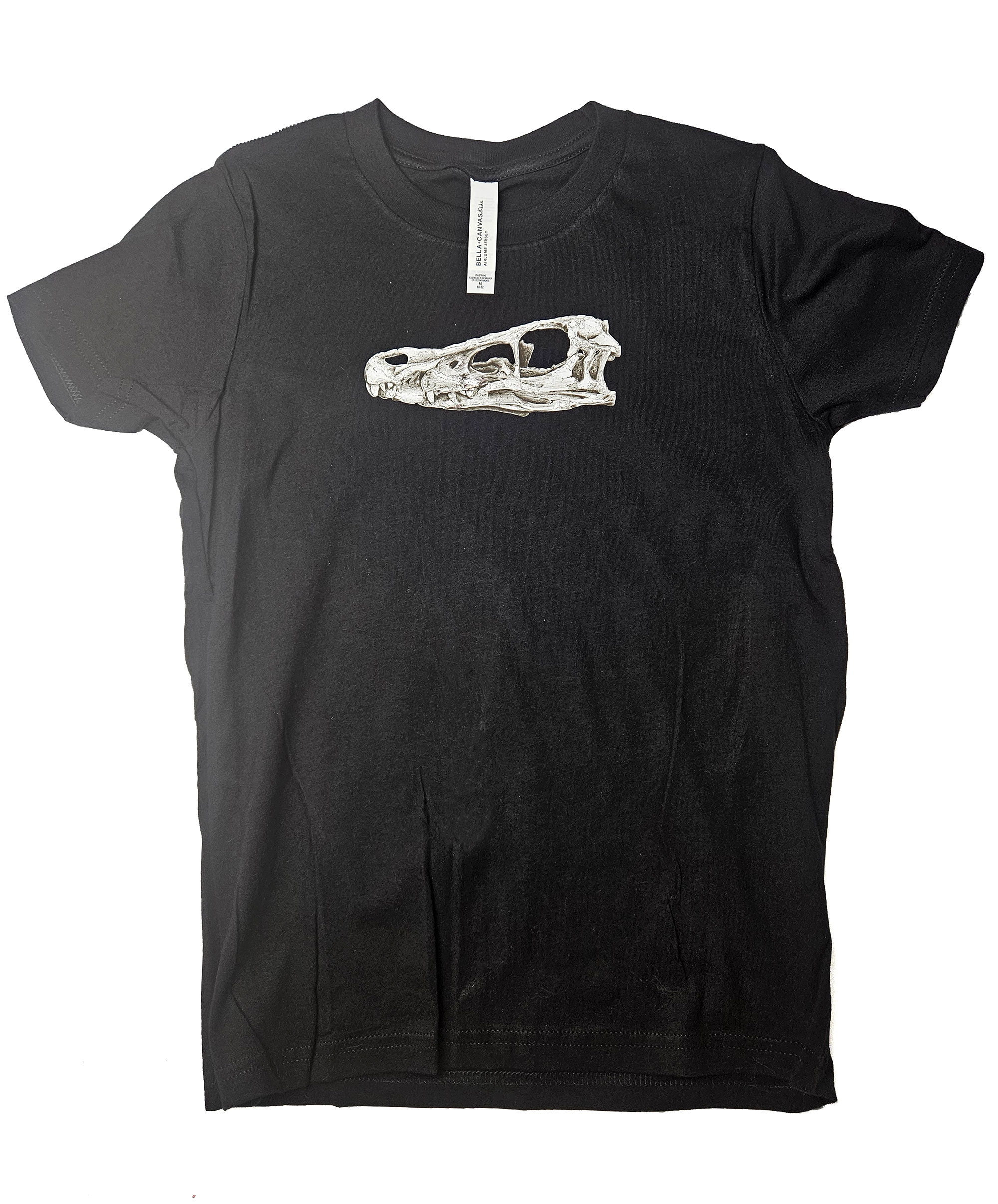 Kids Velociraptor Skull - Image 2